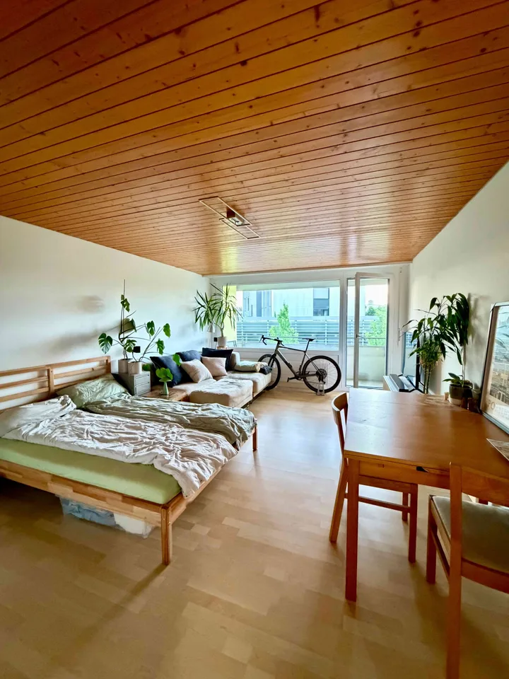 1 Zimmer Wohnung