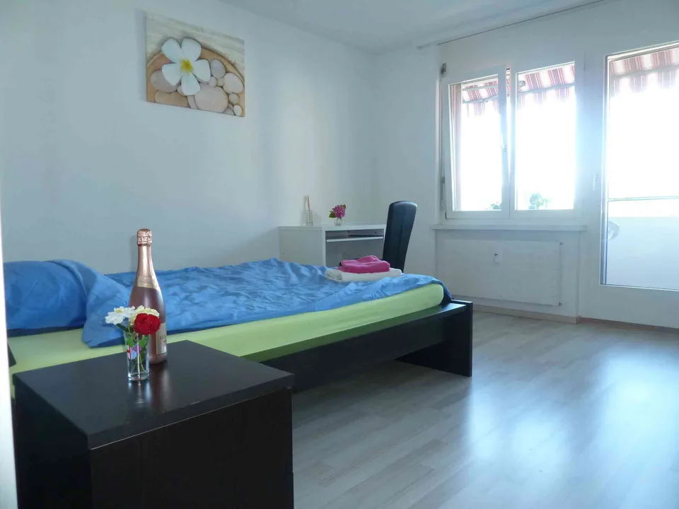 Tolles Zimmer in einer grossen Wohnung 90m2
