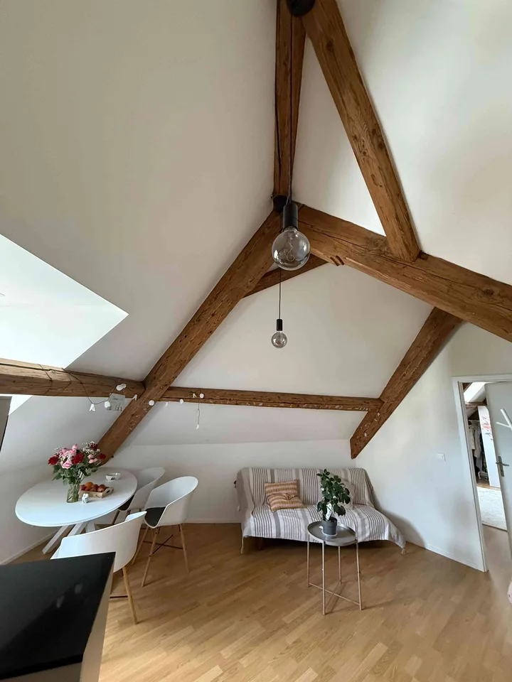 Nachmieter gesucht für gemütliche Wohnung am Rhein in Diessenhofen.