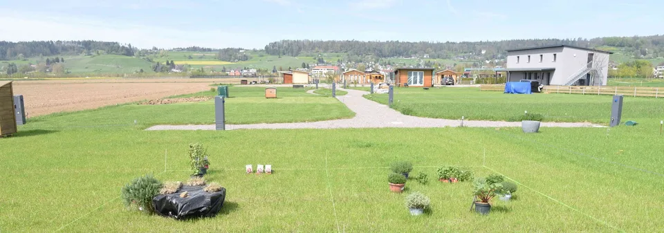 Familiengarten/Schrebergarten zu Verpachten