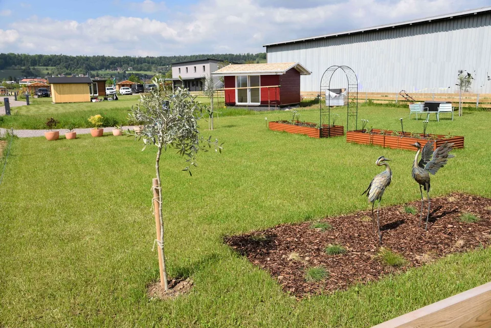 Familiengarten/Schrebergarten zu Verpachten