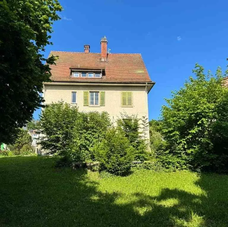 Paradies am Rhein