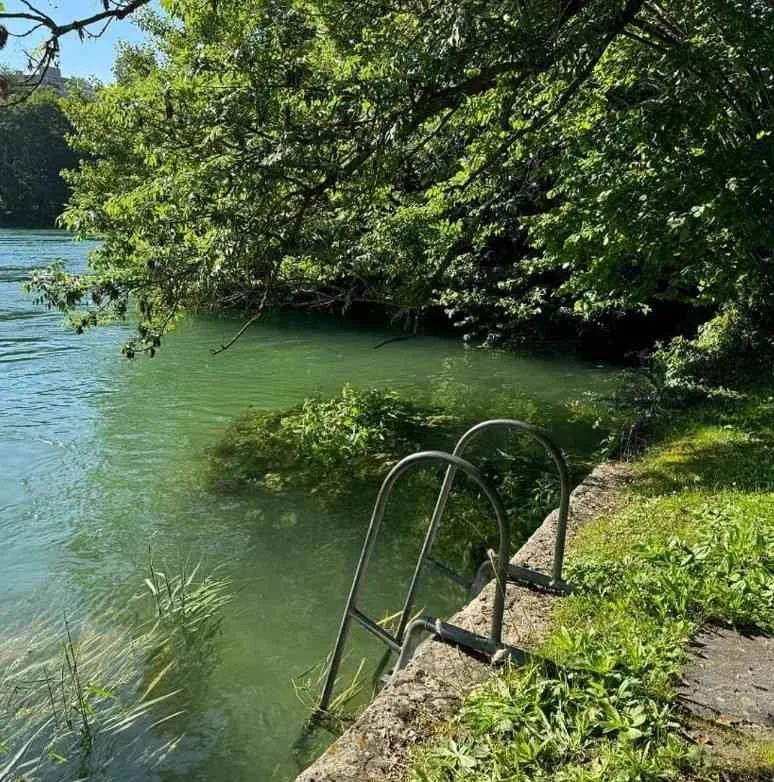 Paradies am Rhein