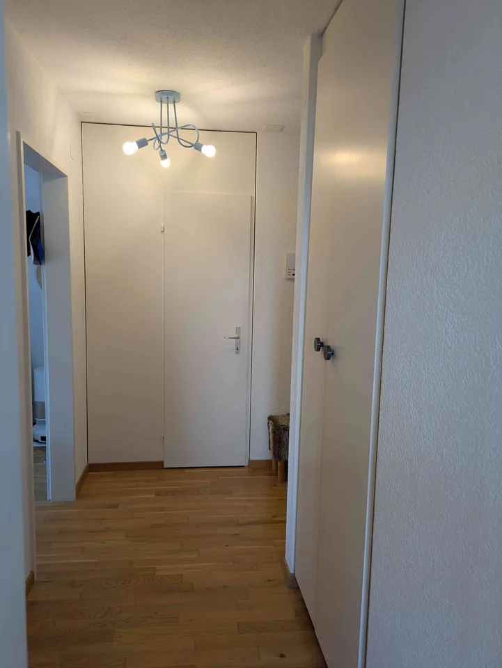 1 ½ Zimmer-Wohnung in Wetzikon mieten