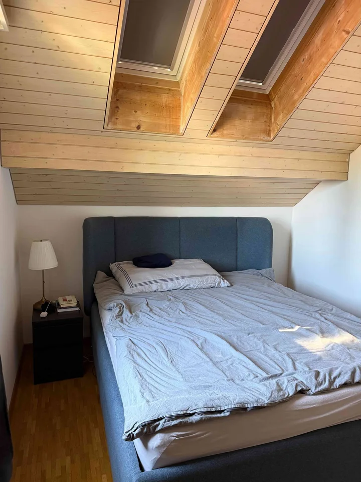 Gemütliche Dachwohnung in zentraler Lage zu vermieten
