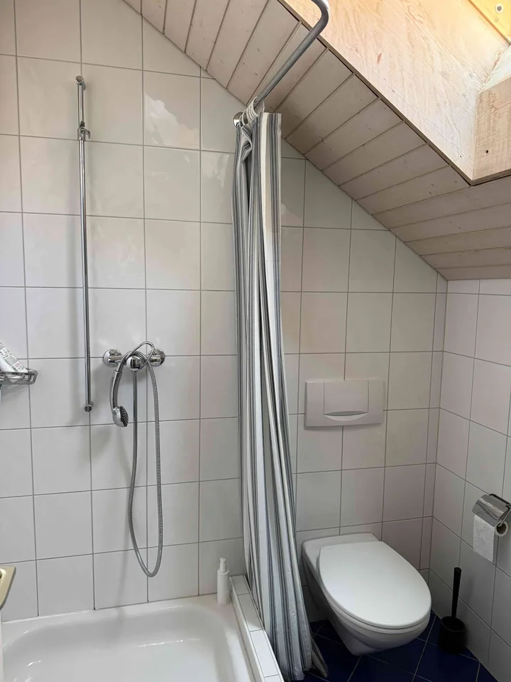 Gemütliche Dachwohnung in zentraler Lage zu vermieten