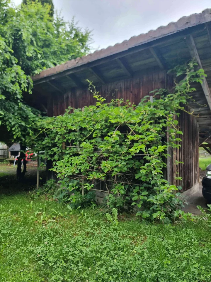 Carport mit Schuppen und Garten in Hittnau zu vermieten