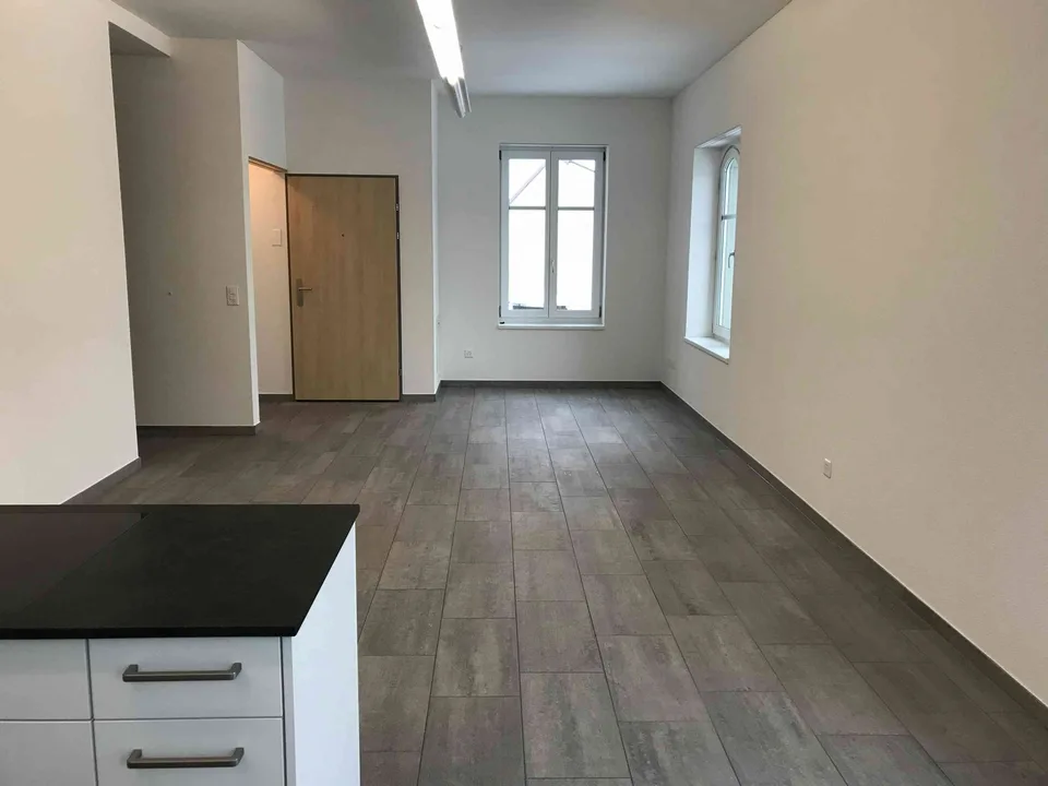 3 1/2 Zimmer Wohnung