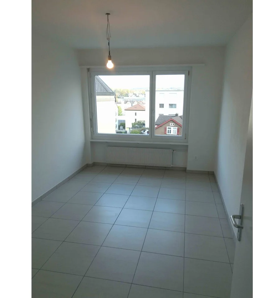 Kürzlich renovierte 3.5 Z.Wohnung grosse Dachterasse
