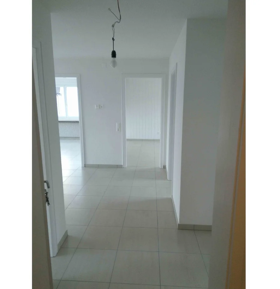 Kürzlich renovierte 3.5 Z.Wohnung grosse Dachterasse