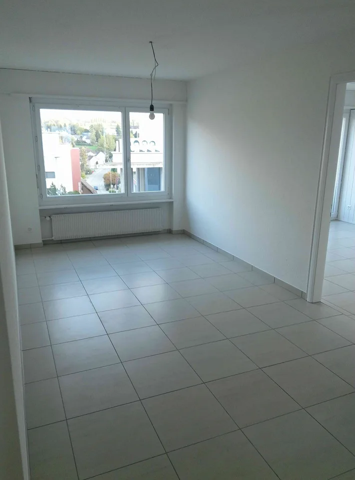 Kürzlich renovierte 3.5 Z.Wohnung grosse Dachterasse