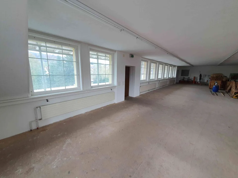 Helle Gewerbe-/Bürofläche 272.5m2