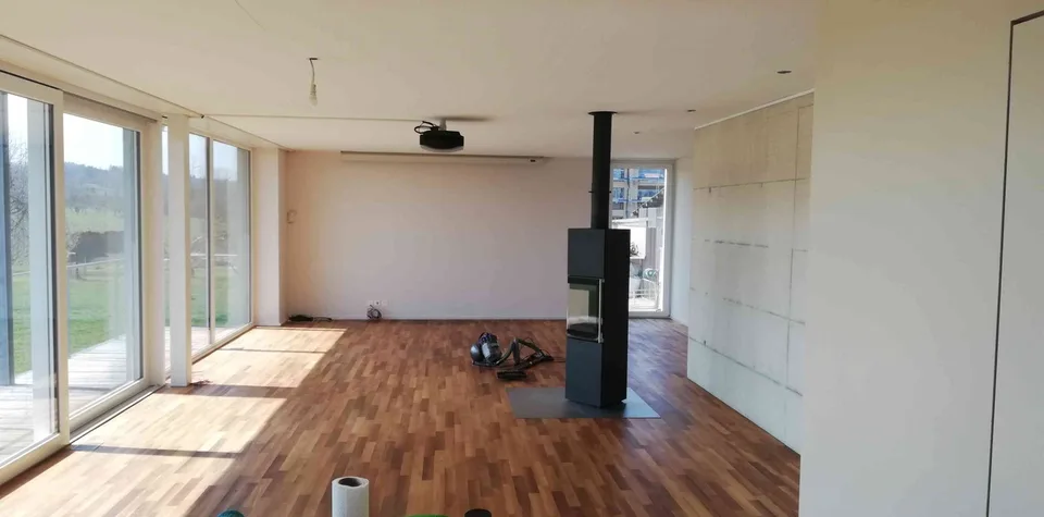 Einfamilienhaus mit Gewerberaum