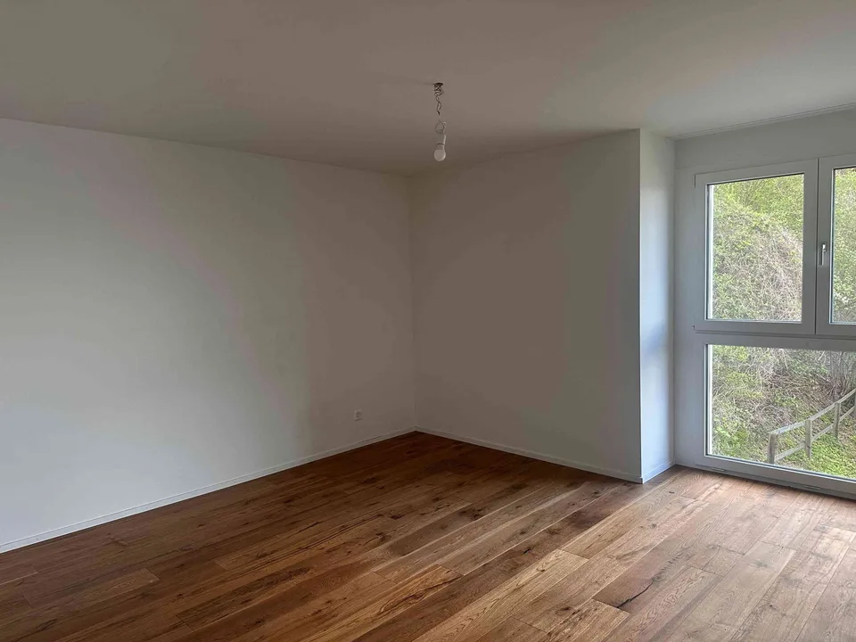 Schöne Attika-Wohnung am Rande Winterthurs