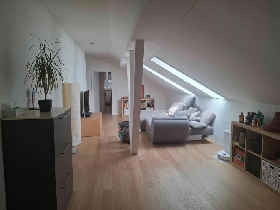 Schöne 5 ½ Zimmer-Wohnung mit herrlichem Ausblick in Neuenhof mieten