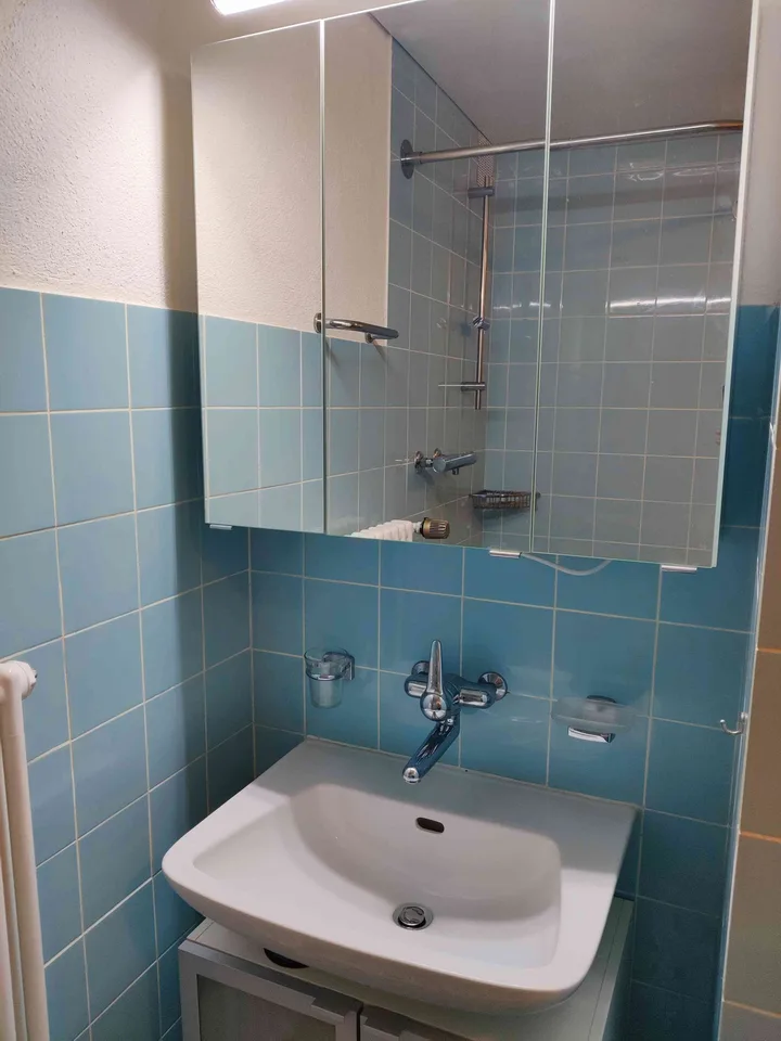 6.5 Zimmerwohnung auf Bauernhof
