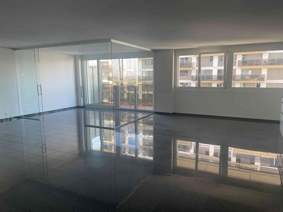 Luxurious 4.5 rooms153 m2 Apartment for Rent (Stettbach / Dubendorf)