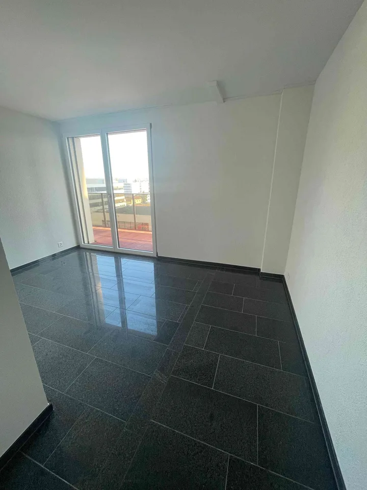 Luxurious 4.5 rooms153 m2 Apartment for Rent (Stettbach / Dubendorf)