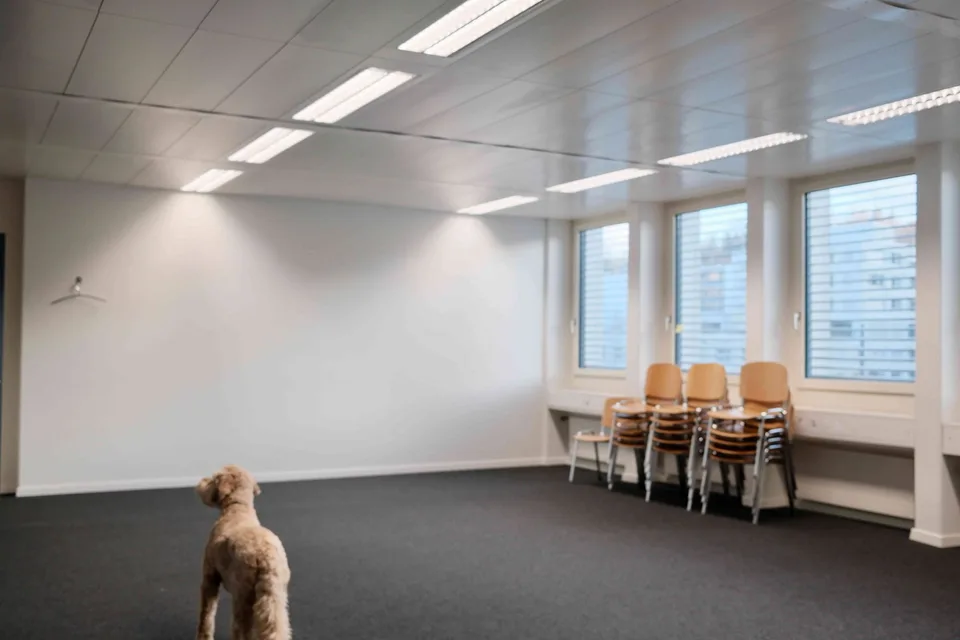 bis 31.01.2029 Büro / Gewerberäume beim Bahnhof Manegg