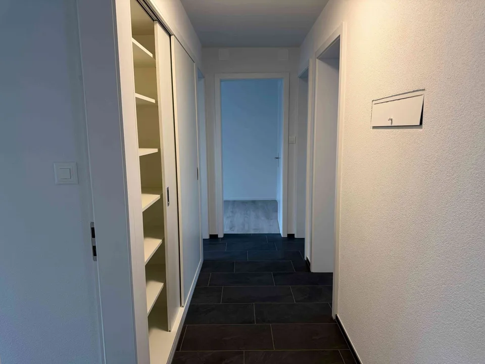 Renovierte 4 Zimmer Wohnung in Niederuster