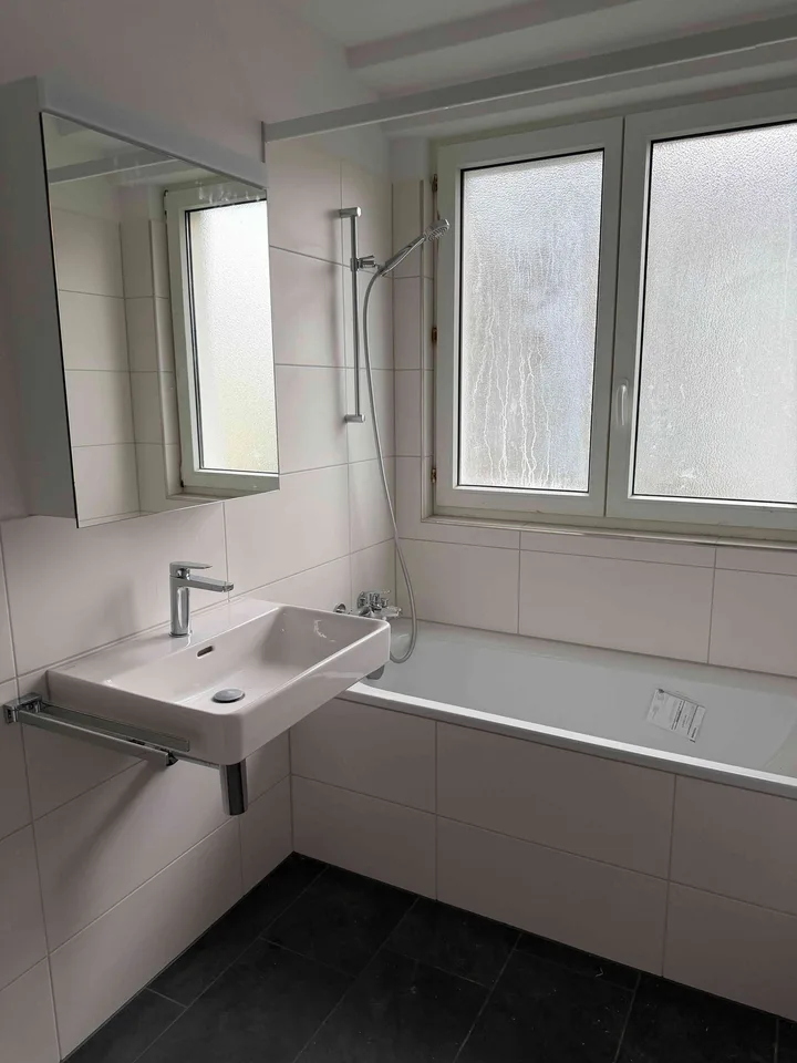 Renovierte 4 Zimmer Wohnung in Niederuster