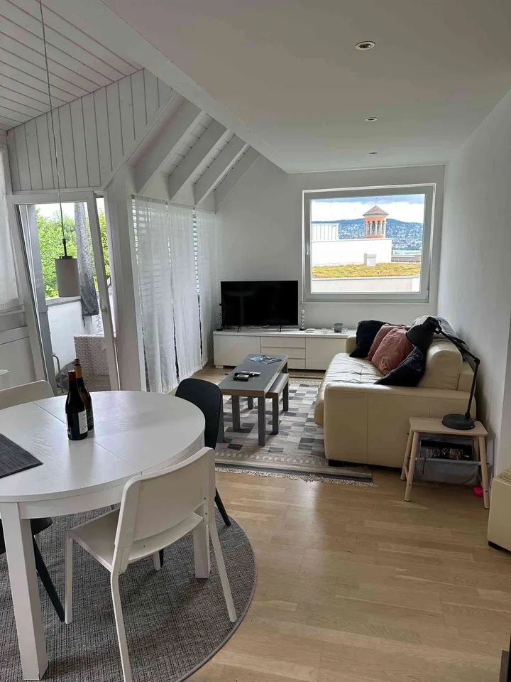 Charming 1.5-Room Attic Apartment in Wollishofen, Zurich – Available I