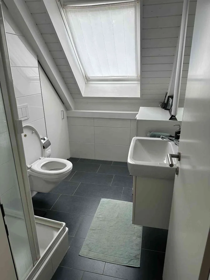 Charming 1.5-Room Attic Apartment in Wollishofen, Zurich – Available I