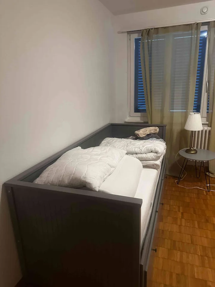Two Furnished Rooms Available in Adliswil (Zurich Area)