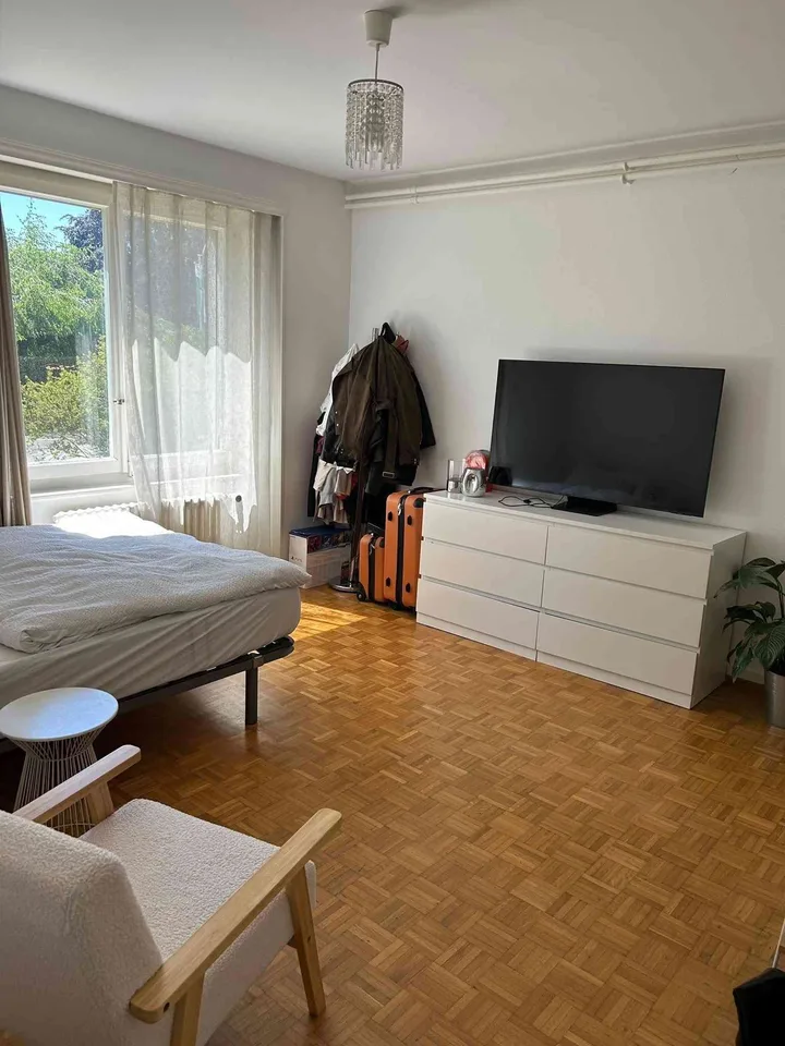charmant appartement meublé de 1.5 pièces