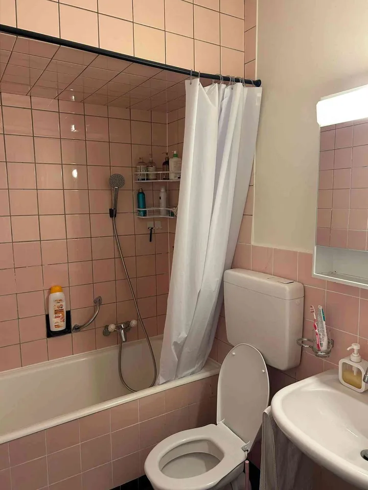 charmant appartement meublé de 1.5 pièces
