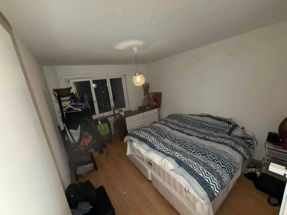 3.5 Wipkingen Mitbewohner gesucht Dez25 bis Jan26