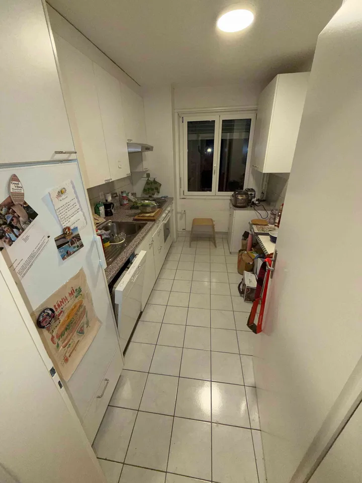 3.5 Wipkingen Mitbewohner gesucht Dez25 bis Jan26