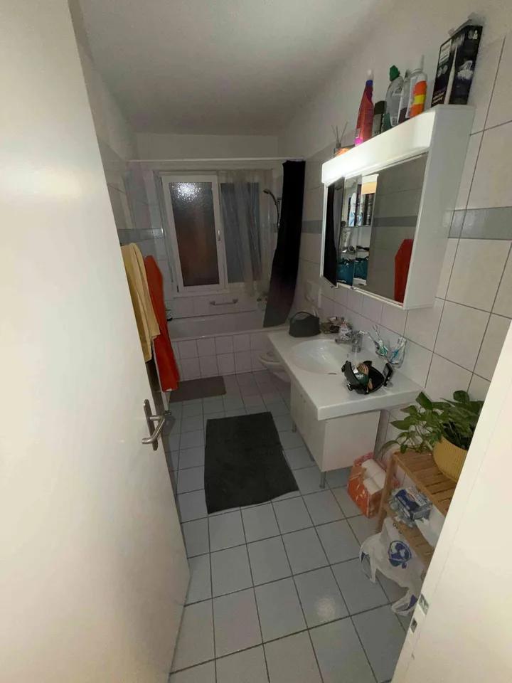 3.5 Wipkingen Mitbewohner gesucht Dez25 bis Jan26