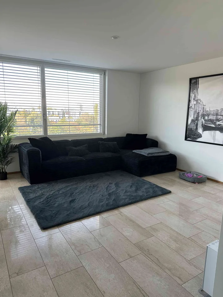 Dübendorf WG Zimmer