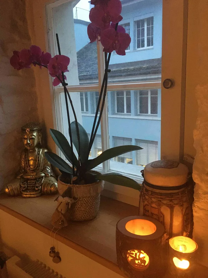 2.5 Maisonette mit Dachterrasse Zürich BEFRISTET