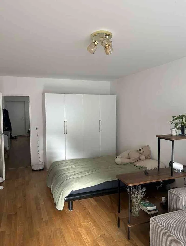 Appartement 1,5 pièce à louer à Zurich