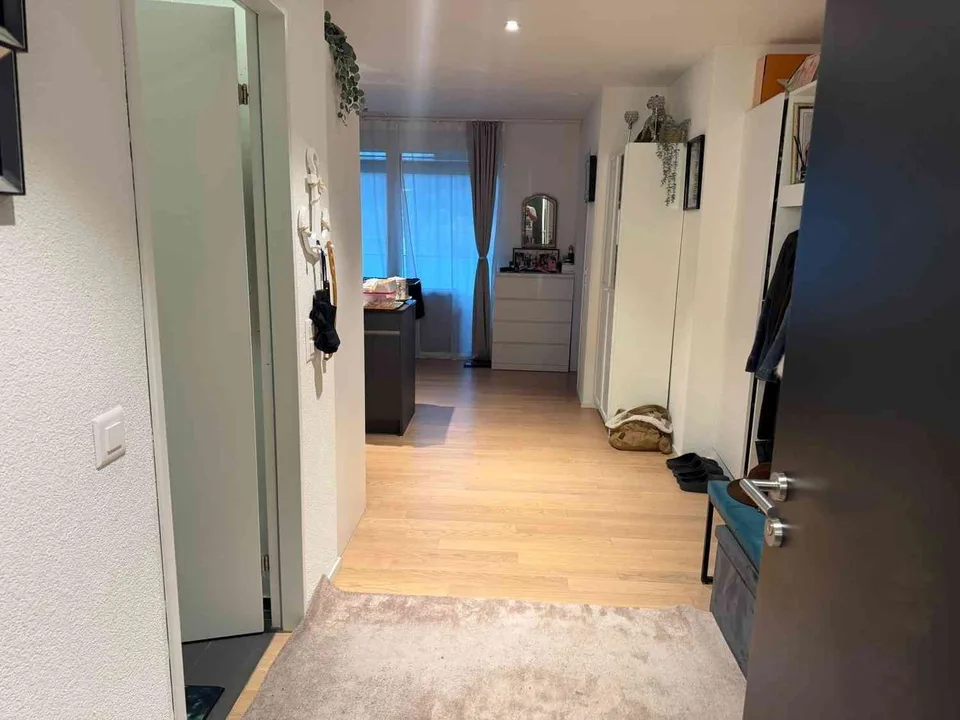 Appartement 2 ½ pièces à louer à Spreitenbach