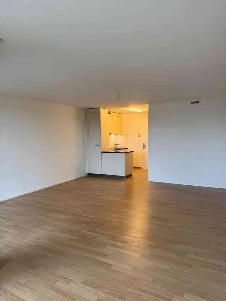 Modern 1.5-room apartment in the countryside for rent