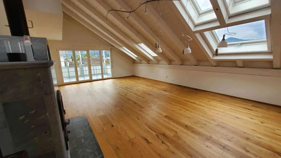 Schöne, helle, grosse Dachwohnung