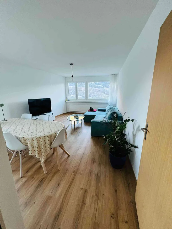 Helle und grosse Wohnung mit Weitsicht (19.Stock)!