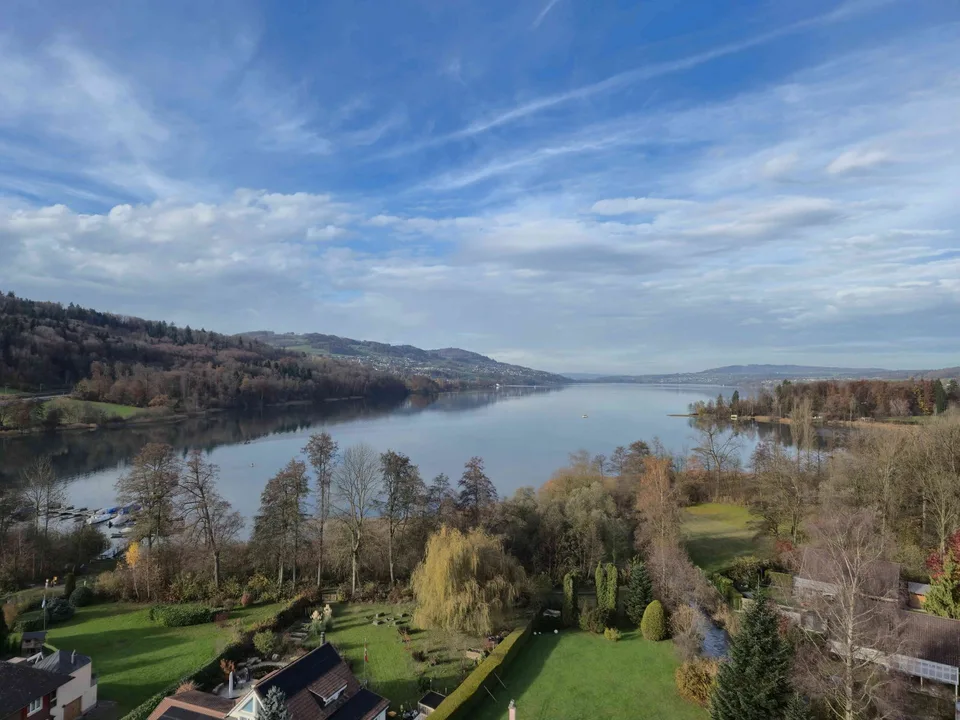 Erstbezug Traumwohnung am Hallwilersee (1.5 - 5.5 ZW)