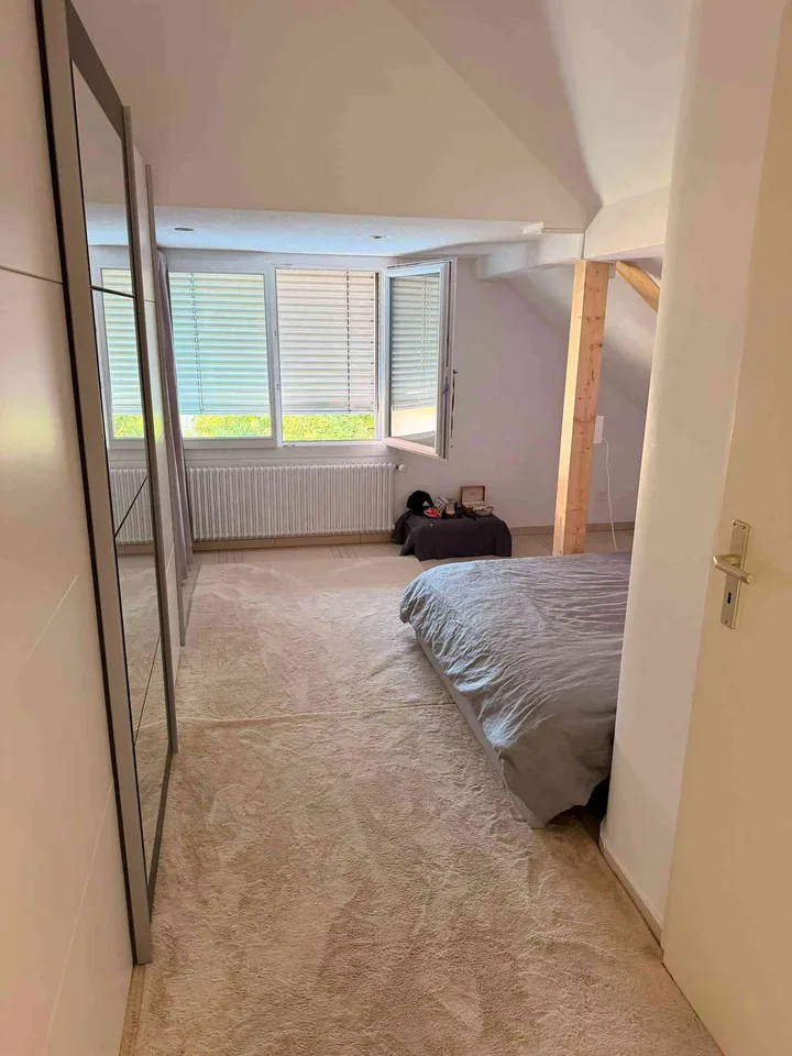 Charmante Dachwohnung mit traumhafter Sonnenterrasse