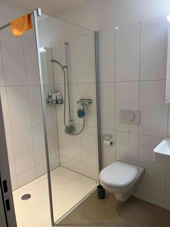 Nachmieter für 3.5-Zimmer-Minergie-Wohnung mit Terrasse in Hitzkirch