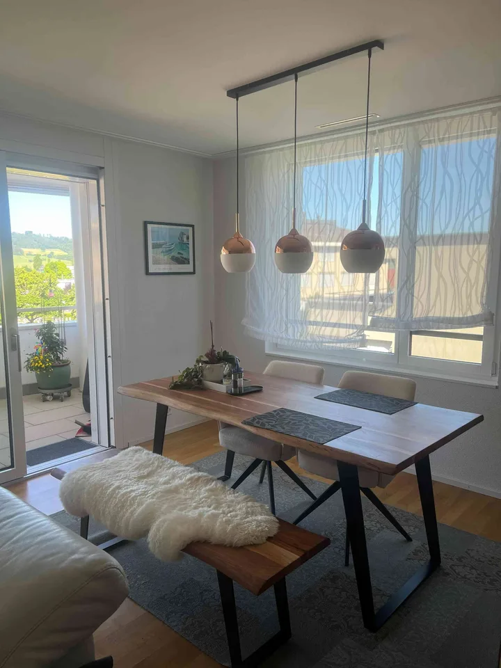 Nachmieter für 3.5-Zimmer-Minergie-Wohnung mit Terrasse in Hitzkirch