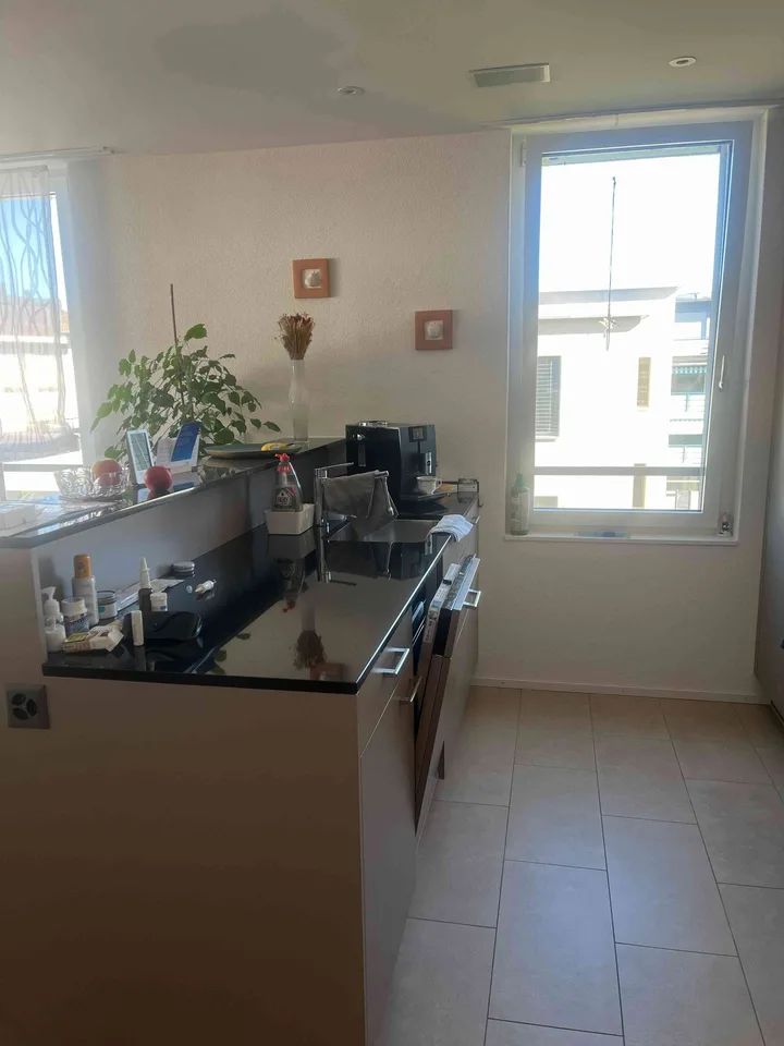 Nachmieter für 3.5-Zimmer-Minergie-Wohnung mit Terrasse in Hitzkirch