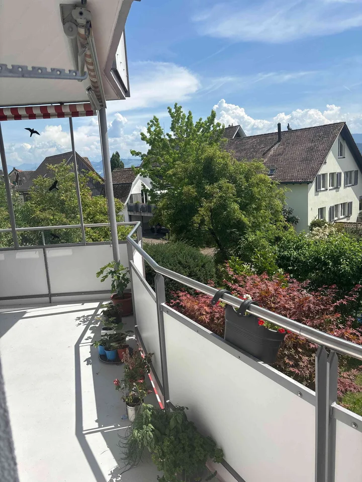 4,5 Zimmer Wohnung befristet zu vermieten