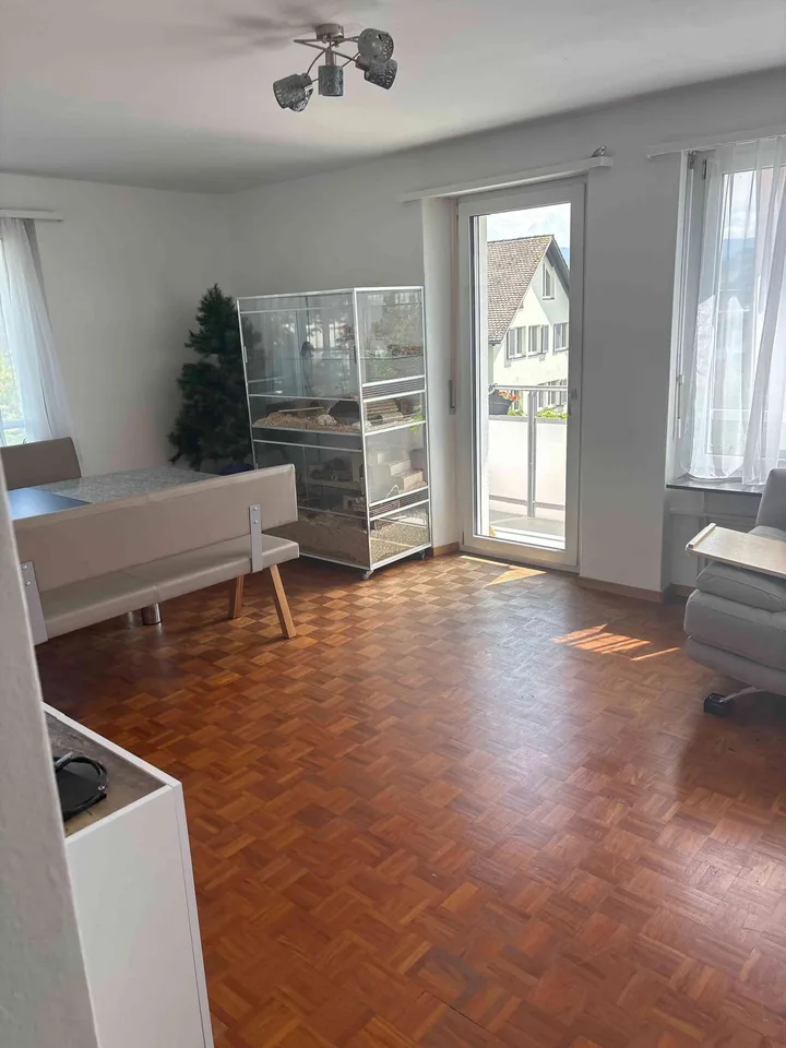 4,5 Zimmer Wohnung befristet zu vermieten