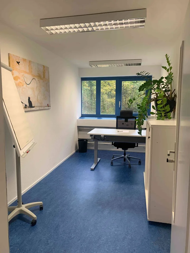 Büro zur Vermietung in Thalwil - befristet