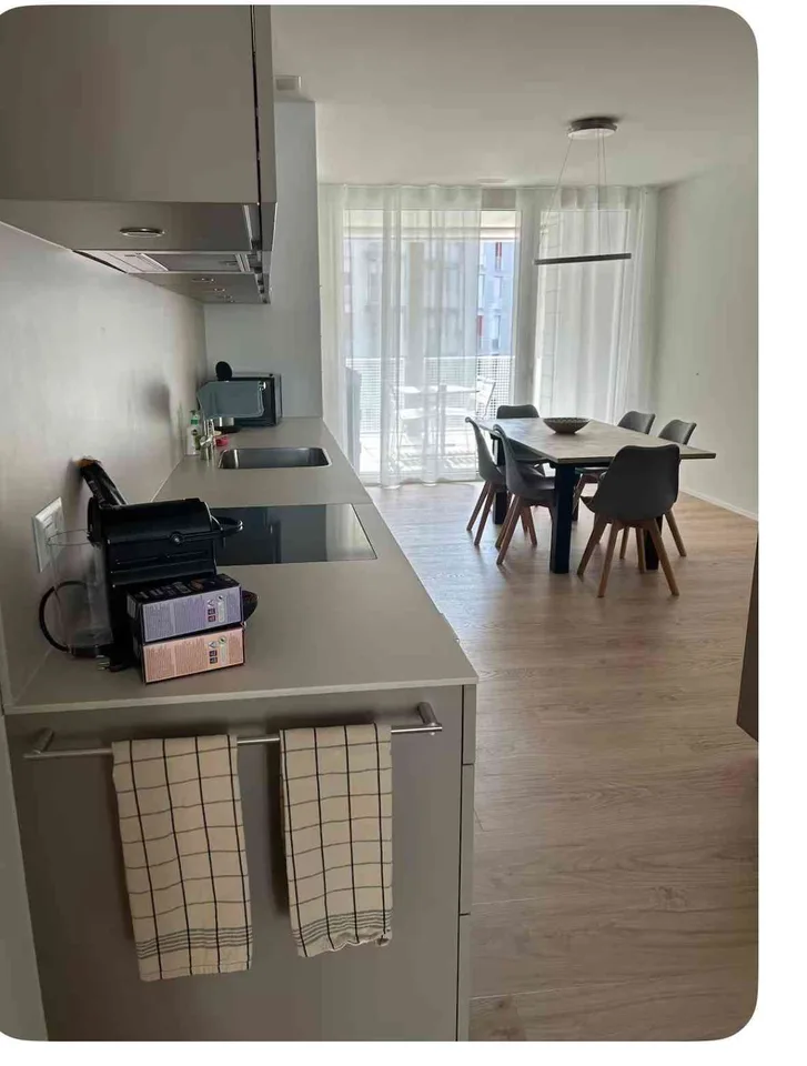 Möblierte Wohnung Kriens (Neubau) - Befristete Vermietung (1–5 Monate)