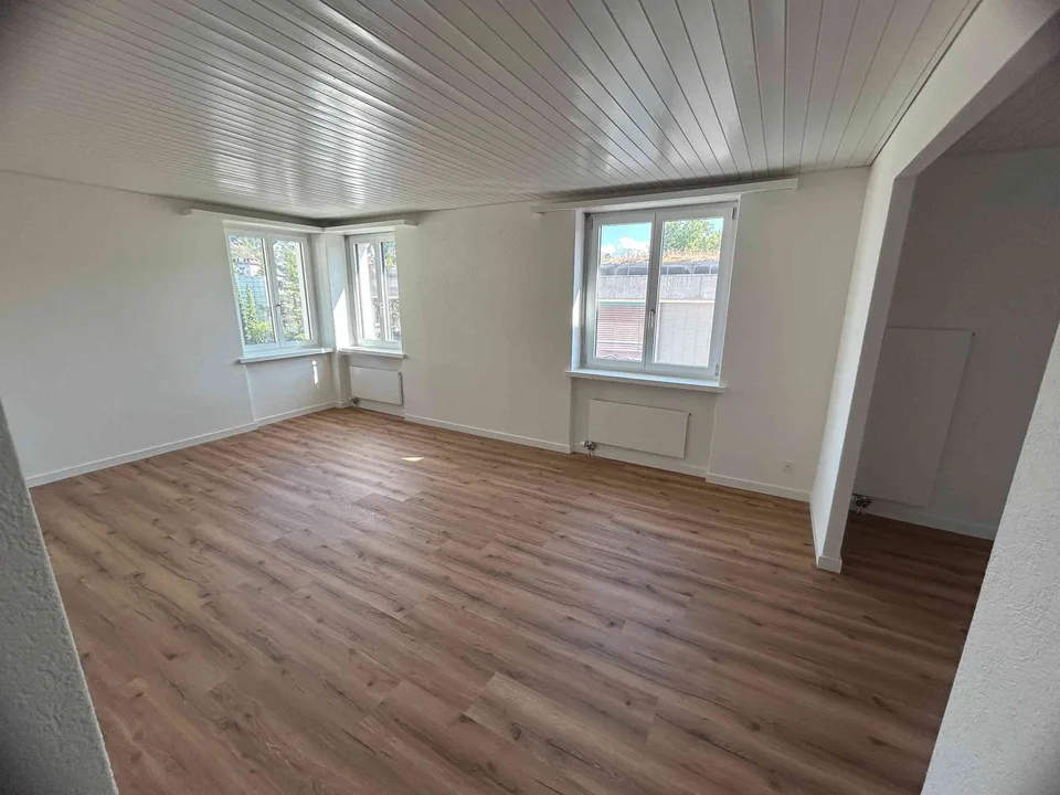 Erstvermietung: Renovierte 4-Zimmerwohnung mit Blick auf Pilatus